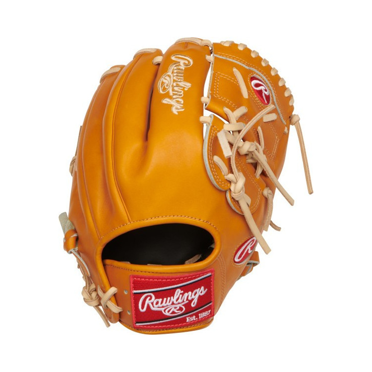 baseball glove store