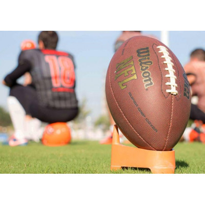 Piłka Futbolowa Wilson NFL Tackified 2