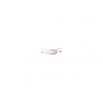 Riddell Hard Cup Chinstrap Lo 2