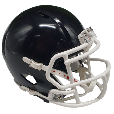 Riddell Custom Mini Helmet