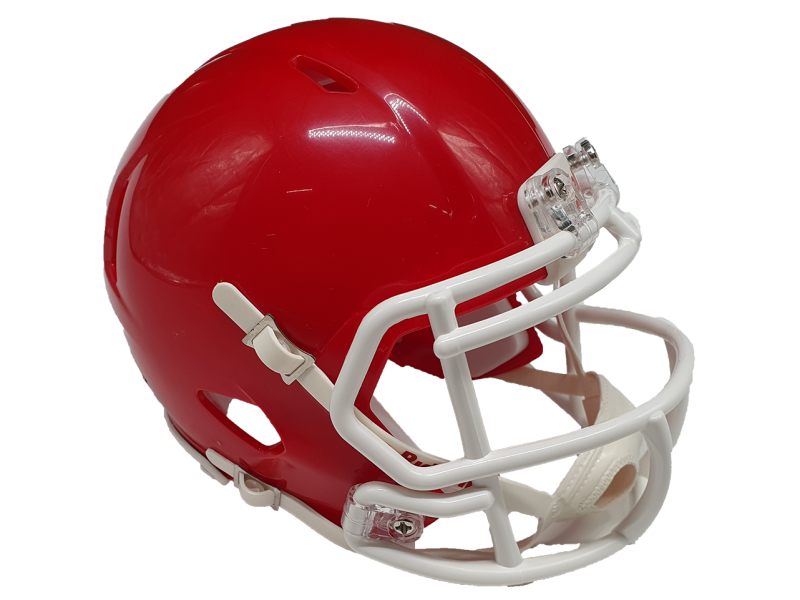Riddell Custom Mini Helmet Riddell Custom Mini Helmet