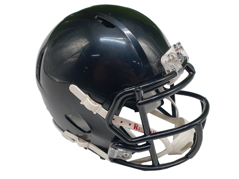 Riddell Custom Mini Helmet Riddell Custom Mini Helmet