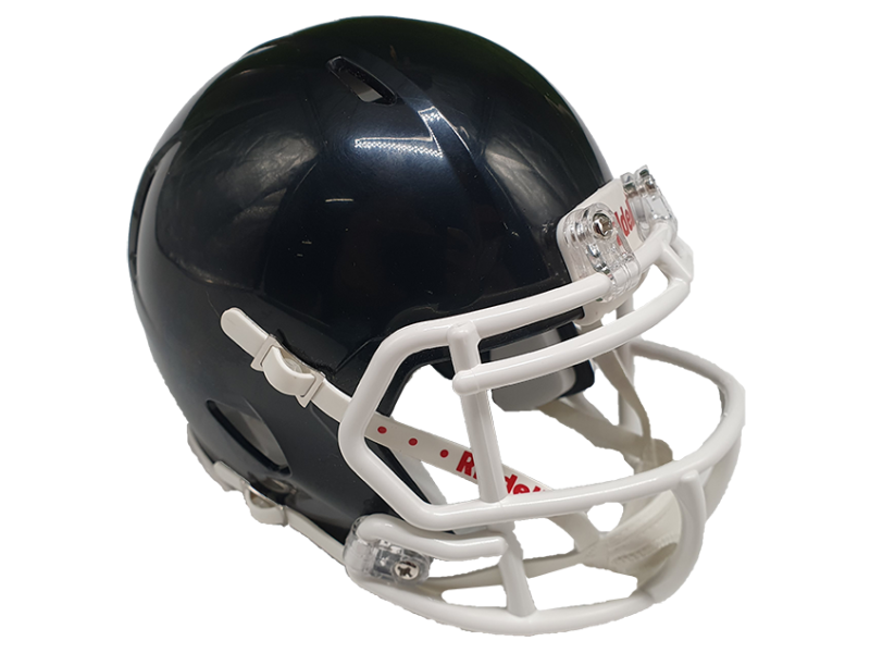 Riddell Custom Mini Helmet Riddell Custom Mini Helmet