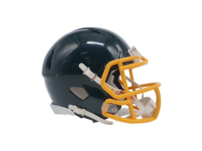 Riddell Custom Mini Helmet Riddell Custom Mini Helmet