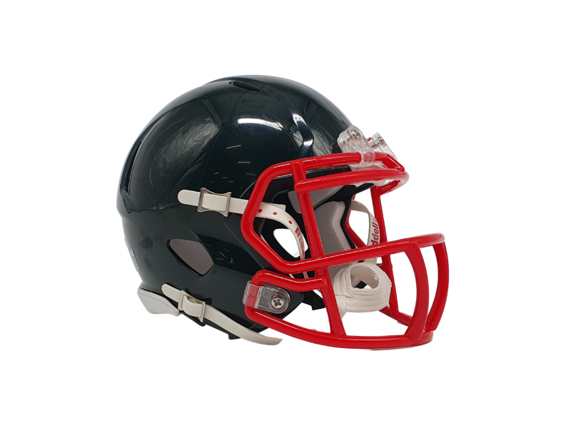 Riddell Custom Mini Helmet Riddell Custom Mini Helmet