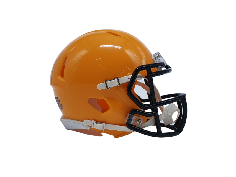 Riddell Custom Mini Helmet Riddell Custom Mini Helmet
