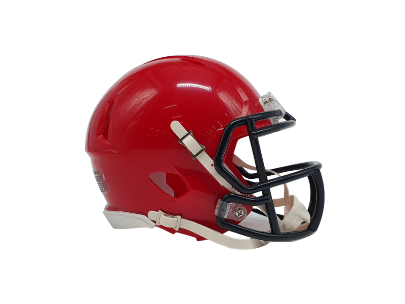 Riddell Custom Mini Helmet Riddell Custom Mini Helmet