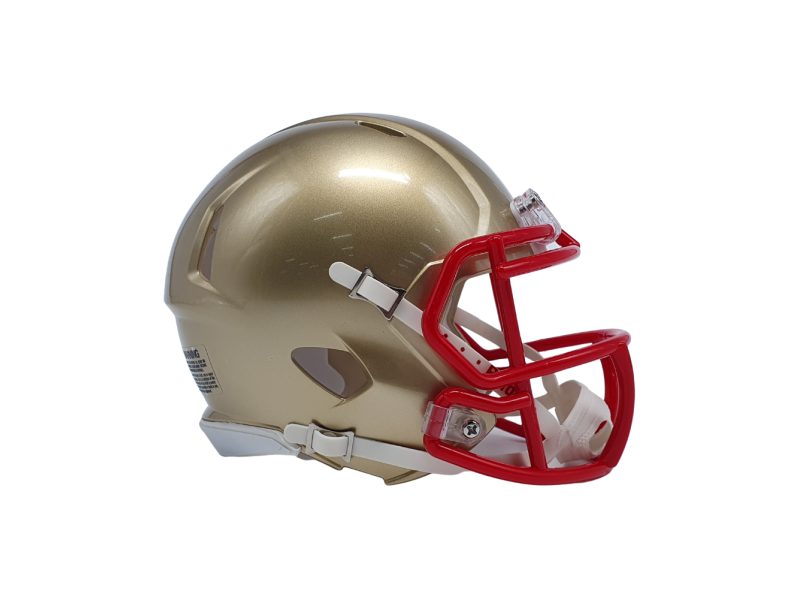 Riddell Custom Mini Helmet Riddell Custom Mini Helmet