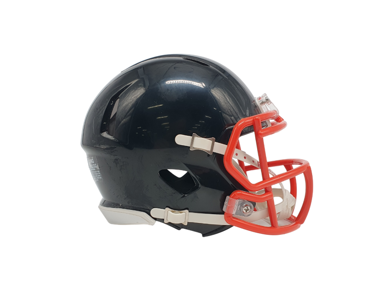 Riddell Custom Mini Helmet Riddell Custom Mini Helmet