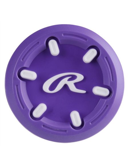 Rawlings Eclipse Softball Bat