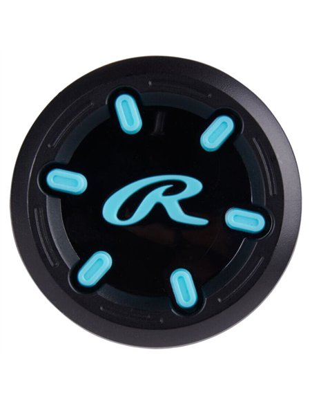 Rawlings Haze Softball Bat