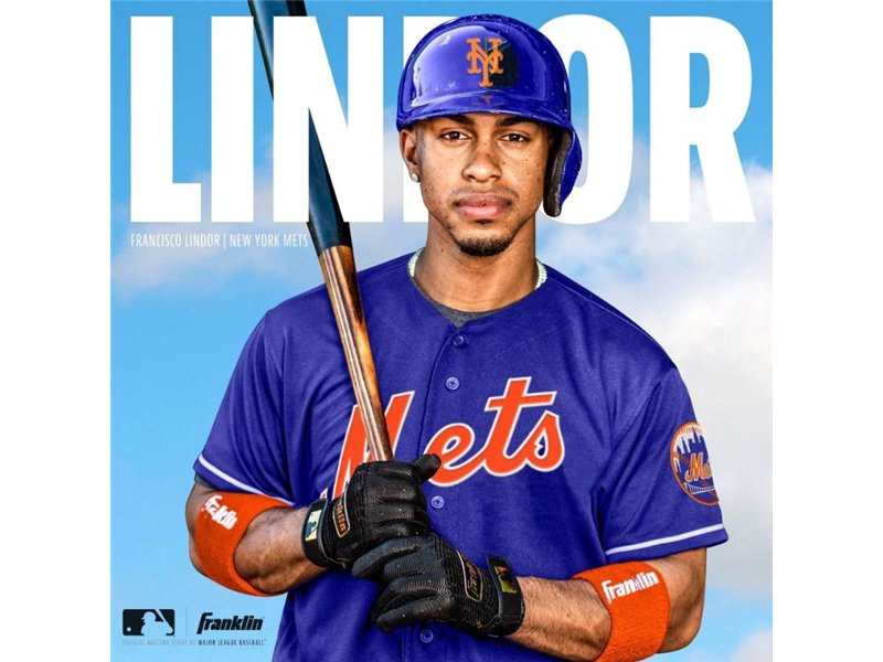 Franklin Pro Classic Gold Series Batting Gloves