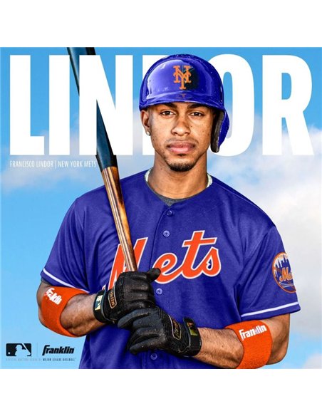 Franklin Pro Classic Gold Series Batting Gloves